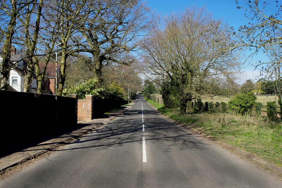 A narrow residential street during daytime features a two-lane road with a dashed white centerline, bordered by brick walls and fences on the left side, and a grassy verge with trees on both sides. Several large, leafless trees cast shadows across the tarmac. In the background, a moving van with an open back is visible, loaded with cardboard boxes, furniture wrapped in plastic and blankets, and other packing materials, being prepared for a home relocation. Equipment such as moving trolleys and straps are used to assist with furniture transport. The surroundings include a few houses partially visible behind trees and fences, with bright sunlight illuminating the scene, clear blue sky overhead, and the quiet rural environment indicative of a village or suburban area where professional removals services like Man with Van Hampton Wick might operate for moving within or from the area.