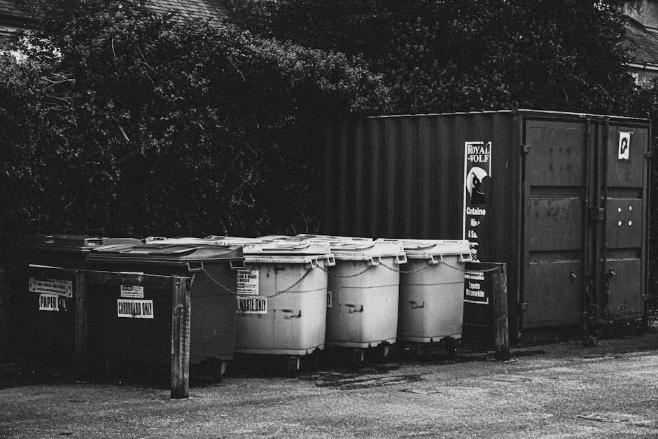 A row of waste and recycling bins positioned outdoors on a paved area beside a large, closed metal container with a Royal MOLF logo. The bins include two large black recycling bins labeled 'PAPER' and 'CARBOARD ONLY', along with four white waste disposal bins with lids, arranged in a line next to each other. The bins are secured with chains and are situated on a slightly worn surface. Behind the bins, there is dense foliage and trees, indicating an outdoor setting. In the context of home relocation or furniture transport, this scene reflects proper waste disposal and clearance processes prior to or after a house move, as managed by Man with Van Hampton Wick, specializing in removals and move-related logistics.